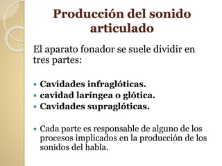 Producción del sonido
articulado
El aparato fonador se suele dividir en
tres partes:
 Cavidades infraglóticas.
 cavidad laríngea o glótica.
 Cavidades supraglóticas.
 Cada parte es responsable de alguno de los
procesos implicados en la producción de los
sonidos del habla.
 