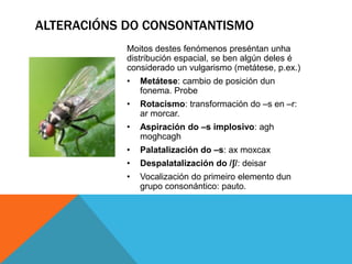 Moitos destes fenómenos preséntan unha
distribución espacial, se ben algún deles é
considerado un vulgarismo (metátese, p.ex.)
• Metátese: cambio de posición dun
fonema. Probe
• Rotacismo: transformación do –s en –r:
ar morcar.
• Aspiración do –s implosivo: agh
moghcagh
• Palatalización do –s: ax moxcax
• Despalatalización do /ʃ/: deisar
• Vocalización do primeiro elemento dun
grupo consonántico: pauto.
ALTERACIÓNS DO CONSONTANTISMO
 