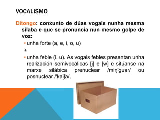 VOCALISMO
Ditongo: conxunto de dúas vogais nunha mesma
sílaba e que se pronuncia nun mesmo golpe de
voz:
• unha forte (a, e, i, o, u)
+
• unha feble (i, u). As vogais febles presentan unha
realización semivocálicas [j] e [w] e sitúanse na
marxe silábica prenuclear /miŋ'guar/ ou
posnuclear /'kaiʃa/.
 