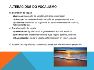ALTERACIÓNS DO VOCALISMO
b) Supresión de vogais
a) Aférese: supresión da vogal inicial : inda, maxinación
b) Síncope: supresión en interior de palabra (grupos con –r): vran
c) Apócope: supresión da vogal final en palabras rematas en –s ou –x,
habitualmente: cas
c) Transformación de vogais:
a) Asimilación: igualan unha vogal con outra: Curuña, rabaliza
b) Disimilación: diferenciación entre dúas vogais: sasenta, taléfono.
c) Labialización: mudar a vogal palatal media /e/ en velar: somana
O vran de San Mighel vaise coma o mel, e o se san Martiño é máis pequeniño.
 