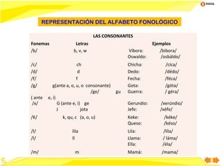 Inicio

REPRESENTACIÓN DEL ALFABETO FONOLÓGICO
LAS CONSONANTES
Fonemas
/b/
/c/
/d/
/f/
/g/
( ante
/x/
/K/
/l/
/l/
/m/

Letras
b, v, w

ch
d
f
g(ante a, o, u, o consonante)
/ge/
e, i)
G (ante e, i) ge
J
jota
k, qu, c (a, o, u)

Víbora:
Oswaldo:

gu

Chicha:
Dedo:
Fecha:
Gota:
Guerra:
Gerundio:
Jefe:

Ejemplos
/bibora/
/osbáldo/
/cíca/
/dédo/
/féca/
/góta/
/ géra/
/xerúndio/
/xéfe/

Keke:
Queso:

/kéke/
/késo/

lila
ll

Lila:
Llama:
Ella:

/líla/
/ láma/
/éla/

m

Mamá:

/mama/
16

 