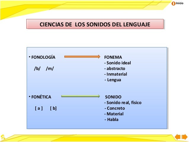 Fonica Tipos De Fonica _ Los 30 tipos de lectura más comunes y sus ...