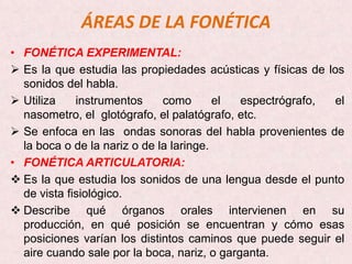 ÁREAS DE LA FONÉTICA
• FONÉTICA EXPERIMENTAL:
 Es la que estudia las propiedades acústicas y físicas de los
  sonidos del habla.
 Utiliza    instrumentos     como       el  espectrógrafo, el
  nasometro, el glotógrafo, el palatógrafo, etc.
 Se enfoca en las ondas sonoras del habla provenientes de
  la boca o de la nariz o de la laringe.
• FONÉTICA ARTICULATORIA:
 Es la que estudia los sonidos de una lengua desde el punto
  de vista fisiológico.
 Describe qué órganos orales intervienen en su
  producción, en qué posición se encuentran y cómo esas
  posiciones varían los distintos caminos que puede seguir el
  aire cuando sale por la boca, nariz, o garganta.
 