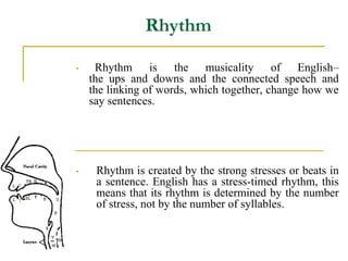 Rhythm
• Rhythm is the musicality of English–
the ups and downs and the connected speech and
the linking of words, which together, change how we
say sentences.
• Rhythm is created by the strong stresses or beats in
a sentence. English has a stress-timed rhythm, this
means that its rhythm is determined by the number
of stress, not by the number of syllables.
 