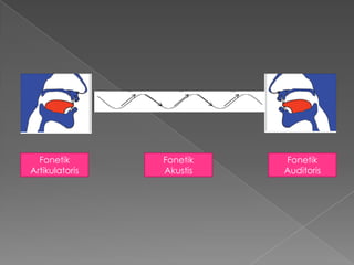 Fonetik       Fonetik   Fonetik
Artikulatoris   Akustis   Auditoris
 