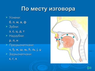 Fonetika | PPT
