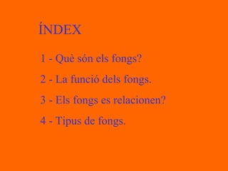 ÍNDEX 1 -  Què són els fongs? 2 - La funció dels fongs. 3 - Els fongs es relacionen? 4 - Tipus de fongs. 