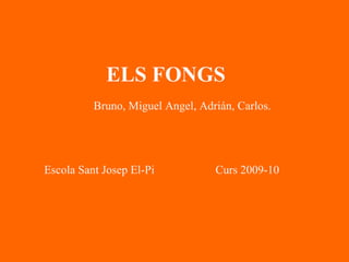 ELS FONGS Bruno, Miguel Angel, Adrián, Carlos.   Escola Sant Josep El-Pi  Curs 2009-10  