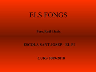 ELS FONGS Pere, Raúl i Jasir . ESCOLA SANT JOSEP - EL PI CURS 2009-2010 