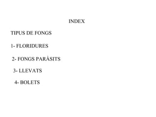 INDEX TIPUS DE FONGS 1- FLORIDURES 2- FONGS PARÀSITS 3- LLEVATS 4- BOLETS 