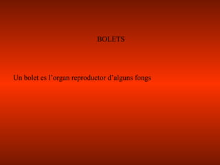 BOLETS Un bolet es l’organ reproductor d’alguns fongs 