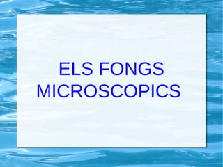 ELS FONGS
MICROSCOPICS

 