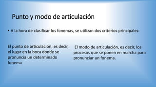Punto y modo de articulación
• A la hora de clasificar los fonemas, se utilizan dos criterios principales:
El punto de articulación, es decir,
el lugar en la boca donde se
pronuncia un determinado
fonema
El modo de articulación, es decir, los
procesos que se ponen en marcha para
pronunciar un fonema.
 