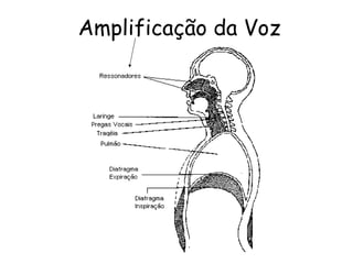 Amplificação da Voz
 