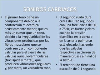 • El primer tono tiene un            • El segundo ruido dura
  componente debido a la               cerca de 0.12 segundos,
  contracción miocárdica,              con una frecuencia de 50
  acústicamente menor, que es          a 75Hz; es fuerte y claro
  más un rumor que un tono,            cuando la presión
  debido a la irregularidad de las     diastólica en la aorta o
  vibraciones producidas por las       en la arteria pulmonar
  fibras musculares que se             está elevada, haciendo
  contraen y a un componente           que las válvulas
  valvular para el cierre de las       respectivas se cierren de
  válvulas auriculoventriculares       manera brusca al final de
  (tricúspide y mitral), que           la sístole.
  producen vibraciones regulares     • El tercer ruido tiene una
  y, por tanto, un verdadero tono.     duración de 0.1 segundo.
 