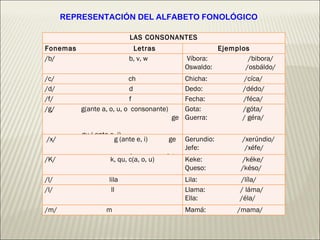 REPRESENTACIÓN DEL ALFABETO FONOLÓGICO LAS CONSONANTES Fonemas  Letras Ejemplos /b/  b, v, w Víbora:  /bibora/ Oswaldo:  /osbáldo/ /c/  ch Chicha:  /cíca/ /d/  d Dedo:  /dédo/ /f/  f Fecha:  /féca/ /g/  g(ante a, o, u, o  consonante)  ge  gu ( ante e, i)  Gota:  /góta/ Guerra:  / géra/ /x/  g (ante e, i)  ge  J  jota Gerundio:  /xerúndio/ Jefe:  /xéfe/ /K/  k, qu, c(a, o, u) Keke:  /kéke/ Queso:  /késo/ /l/  lila  Lila:  /líla/ /l/  ll Llama:  / láma/ Ella:  /éla/ /m/  m Mamá:  /mama/ 