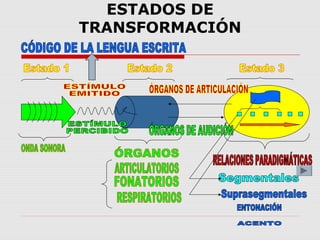 ESTADOS DE
TRANSFORMACIÓN
 