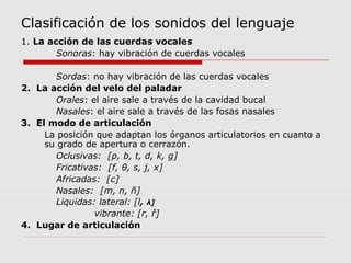 Clasificación de los sonidos del lenguaje
1. La acción de las cuerdas vocales
        Sonoras: hay vibración de cuerdas vocales

        Sordas: no hay vibración de las cuerdas vocales
2. La acción del velo del paladar
        Orales: el aire sale a través de la cavidad bucal
        Nasales: el aire sale a través de las fosas nasales
3. El modo de articulación
     La posición que adaptan los órganos articulatorios en cuanto a
     su grado de apertura o cerrazón.
        Oclusivas: [p, b, t, d, k, g]
        Fricativas: [f, θ, s, j, x]
        Africadas: [c]
        Nasales: [m, n, ñ]
        Liquidas: lateral: [l, λ]
                 vibrante: [r, ř]
4. Lugar de articulación
 