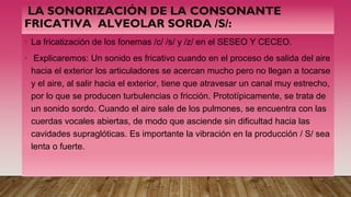 LA SONORIZACIÓN DE LA CONSONANTE
FRICATIVA ALVEOLAR SORDA /S/:
• La fricatización de los fonemas /c/ /s/ y /z/ en el SESEO Y CECEO.
• Explicaremos: Un sonido es fricativo cuando en el proceso de salida del aire
hacia el exterior los articuladores se acercan mucho pero no llegan a tocarse
y el aire, al salir hacia el exterior, tiene que atravesar un canal muy estrecho,
por lo que se producen turbulencias o fricción. Prototípicamente, se trata de
un sonido sordo. Cuando el aire sale de los pulmones, se encuentra con las
cuerdas vocales abiertas, de modo que asciende sin dificultad hacia las
cavidades supraglóticas. Es importante la vibración en la producción / S/ sea
lenta o fuerte.
 