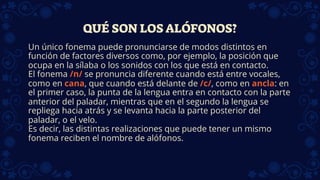 QUÉ SON LOS ALÓFONOS?
Un único fonema puede pronunciarse de modos distintos en
función de factores diversos como, por ejemplo, la posición que
ocupa en la sílaba o los sonidos con los que está en contacto.
El fonema /n/ se pronuncia diferente cuando está entre vocales,
como en cana, que cuando está delante de /c/, como en ancla: en
el primer caso, la punta de la lengua entra en contacto con la parte
anterior del paladar, mientras que en el segundo la lengua se
repliega hacia atrás y se levanta hacia la parte posterior del
paladar, o el velo.
Es decir, las distintas realizaciones que puede tener un mismo
fonema reciben el nombre de alófonos.
 