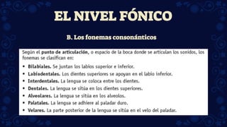 B. Los fonemas consonánticos
EL NIVEL FÓNICO
 