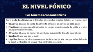 Los fonemas consonánticos
EL NIVEL FÓNICO
 