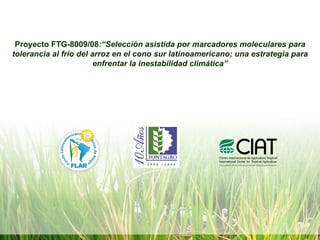 Proyecto FTG-8009/08 :“Selección asistida por marcadores moleculares para tolerancia al frío del arroz en el cono sur latinoamericano; una estrategia para enfrentar la inestabilidad climática” 