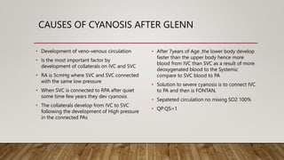 CAUSES OF CYANOSIS AFTER GLENN
• Development of veno-venous circulation
• Is the most important factor by
development of collaterals on IVC and SVC
• RA is 5cmHg where SVC and SVC connected
with the same low pressure
• When SVC is connected to RPA after quiet
some time few years they dev cyanosis
• The collaterals develop from IVC to SVC
following the development of High pressure
in the connected PAs
• After 7years of Age ,the lower body develop
faster than the upper body hence more
blood from IVC than SVC as a result of more
deoxygenated blood to the Systemic
compare to SVC blood to PA
• Solution to severe cyanosis is to connect IVC
to PA and then is FONTAN,
• Sepateted circulation no mixing SO2 100%
• QP:QS=1
 