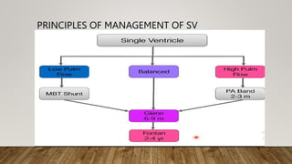 PRINCIPLES OF MANAGEMENT OF SV
 