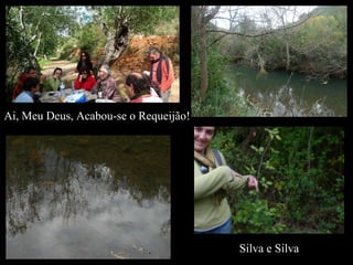 Ai, Meu Deus, Acabou-se o Requeijão! Silva e Silva 