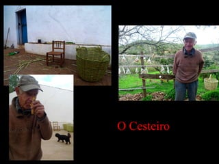 O Cesteiro 