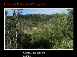 Uma das Primeiras Paisagens... Calma...tudo está em calma... 