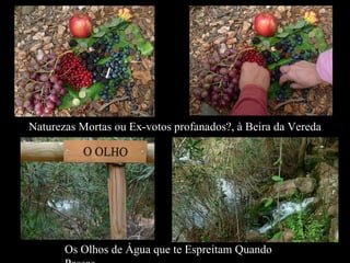 Naturezas Mortas ou Ex-votos profanados?, à Beira da Vereda Os Olhos de Água que te Espreitam Quando Passas 