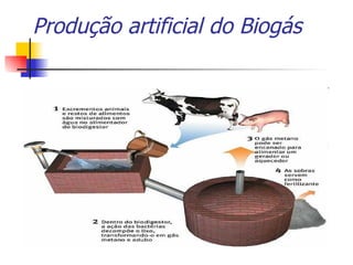 Produção artificial do Biogás 