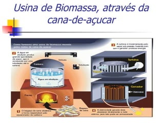 Usina de Biomassa, através da cana-de-açucar 