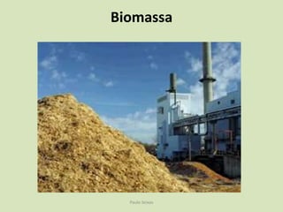 Energia das marés e das ondasPaulo Seixas