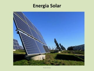 BiomassaPaulo Seixas