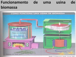 Funcionamento de uma usina de
biomassa
 