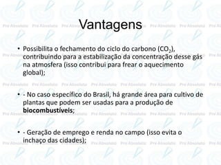 Vantagens
• Possibilita o fechamento do ciclo do carbono (CO2),
contribuindo para a estabilização da concentração desse gás
na atmosfera (isso contribui para frear o aquecimento
global);
• - No caso específico do Brasil, há grande área para cultivo de
plantas que podem ser usadas para a produção de
biocombustíveis;
• - Geração de emprego e renda no campo (isso evita o
inchaço das cidades);
 