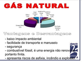- baixo impacto ambiental
- facilidade de transporte e manuseio
- segurança
- combustível fóssil, é uma energia não renovável,
portanto finita.
- apresenta riscos de asfixia, incêndio e explosão.
 