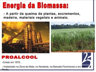 - A partir da queima de plantas, excrementos,
madeira, materiais vegetais e animais;
-Criado em 1975;
- Implantado na Zona da Mata, no Nordeste, na Baixada Fluminense e em São
Paulo;
 