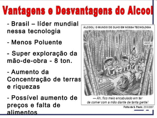 - Brasil – líder mundial
nessa tecnologia
- Menos Poluente
- Super exploração da
mão-de-obra - 8 ton.
- Aumento da
Concentração de terras
e riquezas
- Possível aumento de
preços e falta de
alimentos
 
