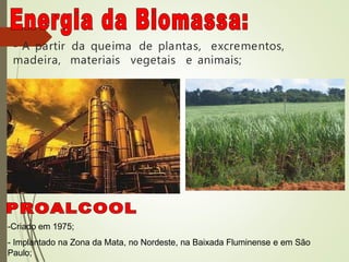 - A partir da queima de plantas, excrementos,
madeira, materiais vegetais e animais;
-Criado em 1975;
- Implantado na Zona da Mata, no Nordeste, na Baixada Fluminense e em São
Paulo;
 