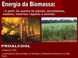 - A partir da queima de plantas, excrementos,
madeira, materiais vegetais e animais;
-Criado em 1975;
- Implantado na Zona da Mata, no Nordeste, na Baixada Fluminense e em São
Paulo;
 