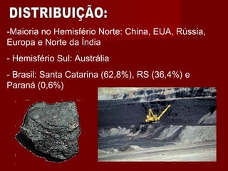 -Maioria no Hemisfério Norte: China, EUA, Rússia,
Europa e Norte da Índia
- Hemisfério Sul: Austrália
- Brasil: Santa Catarina (62,8%), RS (36,4%) e
Paraná (0,6%)
 