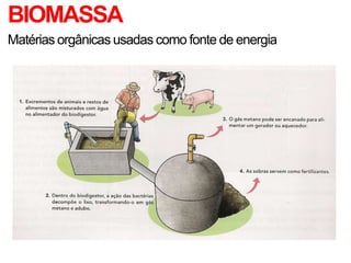 BIOMASSA
Matérias orgânicas usadas como fonte de energia
 