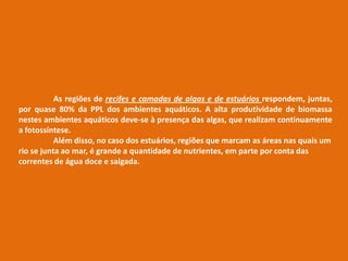 As regiões de recifes e camadas de algas e de estuários respondem, juntas,
por quase 80% da PPL dos ambientes aquáticos. A alta produtividade de biomassa
nestes ambientes aquáticos deve-se à presença das algas, que realizam continuamente
a fotossíntese.
Além disso, no caso dos estuários, regiões que marcam as áreas nas quais um
rio se junta ao mar, é grande a quantidade de nutrientes, em parte por conta das
correntes de água doce e salgada.
 