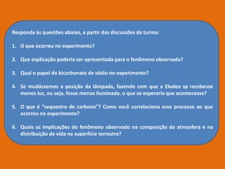 Responda às questões abaixo, a partir das discussões da turma:
1. O que ocorreu no experimento?
2. Que explicação poderia ser apresentada para o fenômeno observado?
3. Qual o papel do bicarbonato de sódio no experimento?
4. Se mudássemos a posição da lâmpada, fazendo com que a Elodea sp recebesse
menos luz, ou seja, fosse menos iluminada, o que se esperaria que acontecesse?
5. O que é “sequestro de carbono”? Como você correlaciona esse processo ao que
ocorreu no experimento?
6. Quais as implicações do fenômeno observado na composição da atmosfera e na
distribuição da vida na superfície terrestre?
 