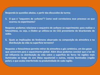Responda às questões abaixo, a partir das discussões da turma:
5. O que é “sequestro de carbono”? Como você correlaciona esse processo ao que
ocorreu no experimento?
Resposta: podemos relacionar o sequestro de carbono ao experimento: para realizar a
fotossíntese, ou seja, a Elodea sp utilizou-se do CO2 proveniente do bicarbonato de
sódio.
6. Quais as implicações do fenômeno observado na composição da atmosfera e na
distribuição da vida na superfície terrestre?
Resposta: a fotossíntese permite retirar da atmosfera o gás carbônico, um dos gases
que concorrem para o aquecimento global. Além disso podemos concluir que a luz do
sol influencia na distribuição da vida sobre a superfície da Terra: há regiões mais
iluminadas ao longo do ano (faixa equatorial) e outras, menos iluminadas (região
polar), o que acaba interferindo na produtividade de cada região.
 