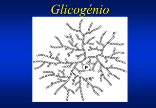 Glicogénio
 